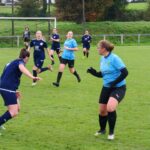 IMG 20241117 142521 Min